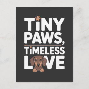 Cartão Postal De Festividades Patas Pequenas Dachshund, Amor Atemporal