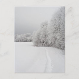 Cartão Postal De Festividades Path in snowy landscape, New Year Holiday Postcard