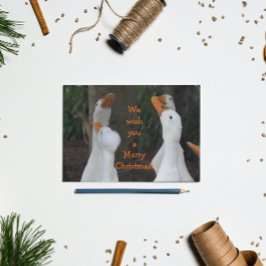 Cartão Postal De Festividades Patos Brancos Cantando no Natal