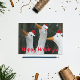 Cartão Postal De Festividades Patos brancos engraçados Vestindo Bonés vermelhos