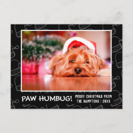 Cartão Postal De Festividades Paw Humbug Pet Photo Black Santa Hat