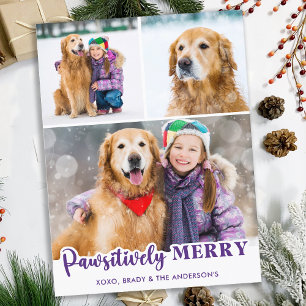 Cartão Postal De Festividades Pawsitivamente Melhor Ano Revise Foto Roxa De Cach