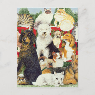 Cartão Postal De Festividades Paz de Natal