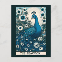 Peacock Tarot Art pacifica Teal Art