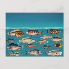 Cartão Postal De Festividades Peixes Coloridos Sob Água Do Oceano Azul