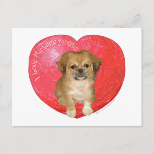 Cartão Postal De Festividades Pekingese / Shih Tzu Dia dos Namorados