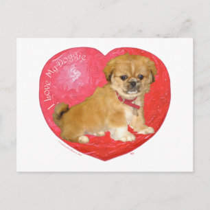 Cartão Postal De Festividades Pekingese / Shih Tzu Mistura Dia dos Namorados