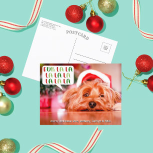 Cartão Postal De Festividades Pelo La La La La La Pet Holiday Photo
