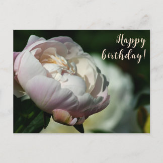 Cartão Postal De Festividades Pêmona/Flor Magia/Flor Branco/Aniversário Feliz/