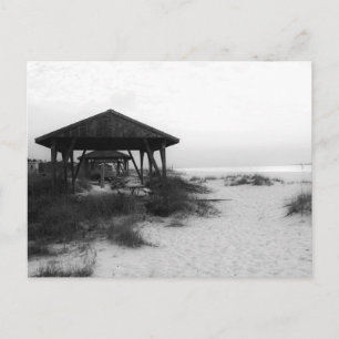 Cartão Postal De Festividades Pensacola Beach Shades
