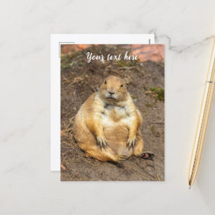 Cartão Postal De Festividades Pequeno Cão da Pradaria de Cauda Preta