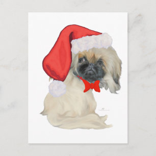 Cartão Postal De Festividades Pequeno Pequim Santinho