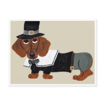 Peregrino de Ação de Graças Dachshund