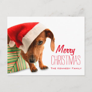 Cartão Postal De Festividades Persiga no chapéu do papai noel