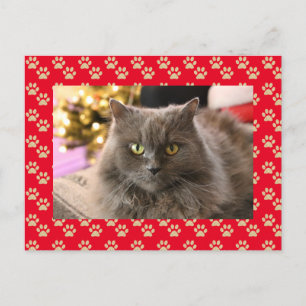 Cartão Postal De Festividades Pet Cat Personalizada Foto de Feliz Natal