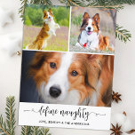 Cartão Postal De Festividades Pet Define Naughn Dog Foto Collage Natal<br><div class="desc">Apresentando nossos Cartões de natal "Definidos Idosos", a combinação perfeita de humor e elegância para aqueles que apreciam seus amigos peludos. Esses cartões de colagem de fotos modernos e bonitos apresentam seus queridos animais de estimação — sejam cães ou gatos — em um tema lúdico e engraçado que faz a...</div>