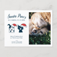 Pet Photo | Papais noeis | Cat Dog Natal