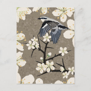 Cartão Postal De Festividades Picanço