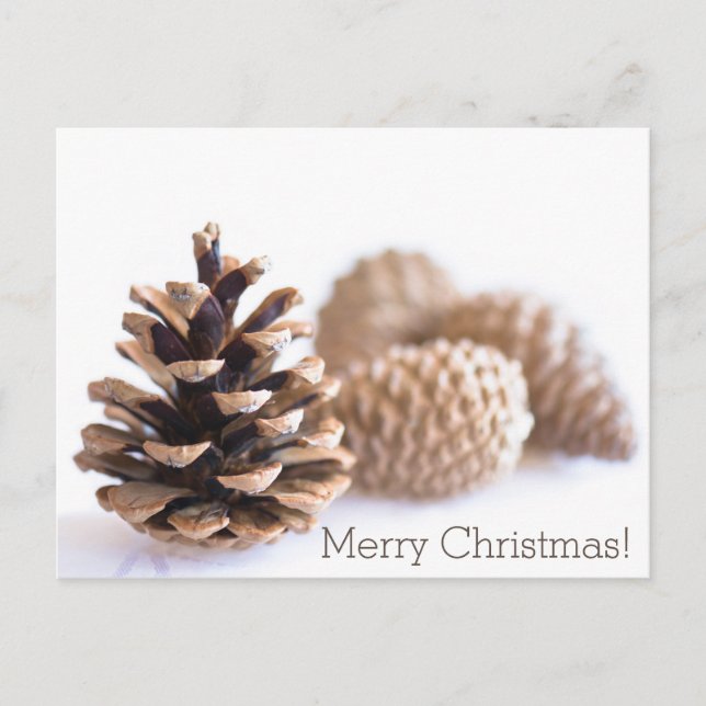Cartão Postal De Festividades Pinecones (Frente)