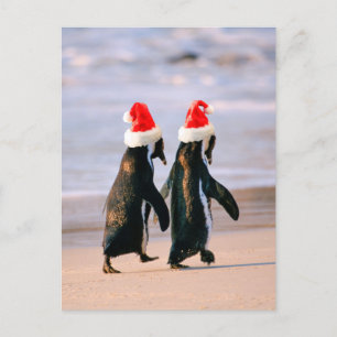 Cartão Postal De Festividades Pinguins em Santa Hats na Praia