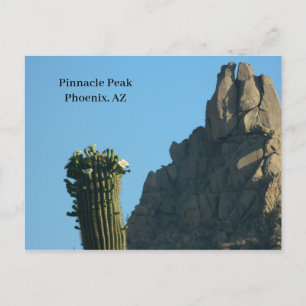 Cartão Postal De Festividades Pinnacle Peak Phoenix AZ Hike Cactus in Flower