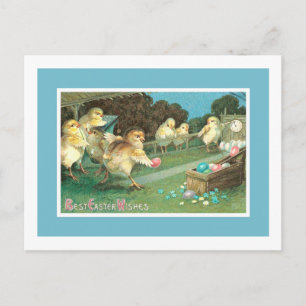 Cartão Postal De Festividades Pintinhos de Boliches de Ovos de Páscoa