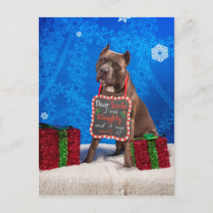 Cartão Postal De Festividades Pit-Bull Natal