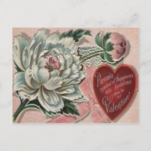 Cartão Postal De Festividades Placa de Namorados de Peony Retro Vintage