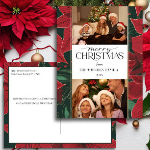 Cartão Postal De Festividades Poinsettia Botânica 2-Foto de Natal Negrito