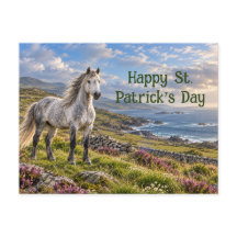 Pônei de Connemara na Costa Irlandesa Ventosa