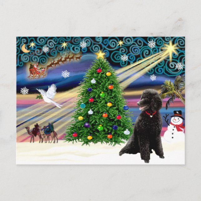 Cartão Postal De Festividades Poodle Mágica Natal (Padrão Negro) (Frente)