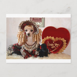 Cartão Postal De Festividades Poodle Valentine Love Dog Victorian Picture
