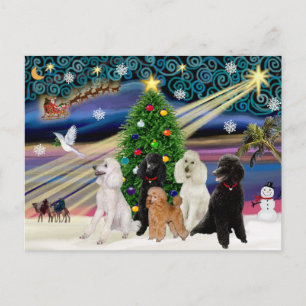 Cartão Postal De Festividades Poodles Mágicos de Natal - Padrão (5)