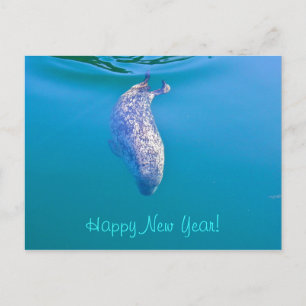 Cartão Postal De Festividades Popeye the Seal Happy New Year Postcards