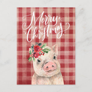 Cartão Postal De Festividades Porco Natal da Xadrez Vermelha