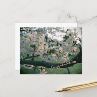 Cartão Postal De Festividades PostCard Congratulations!