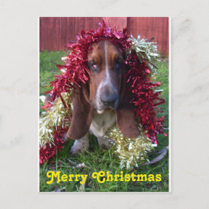 Cartão Postal De Festividades Postcard Merry Christmas Basset Hound In Garland