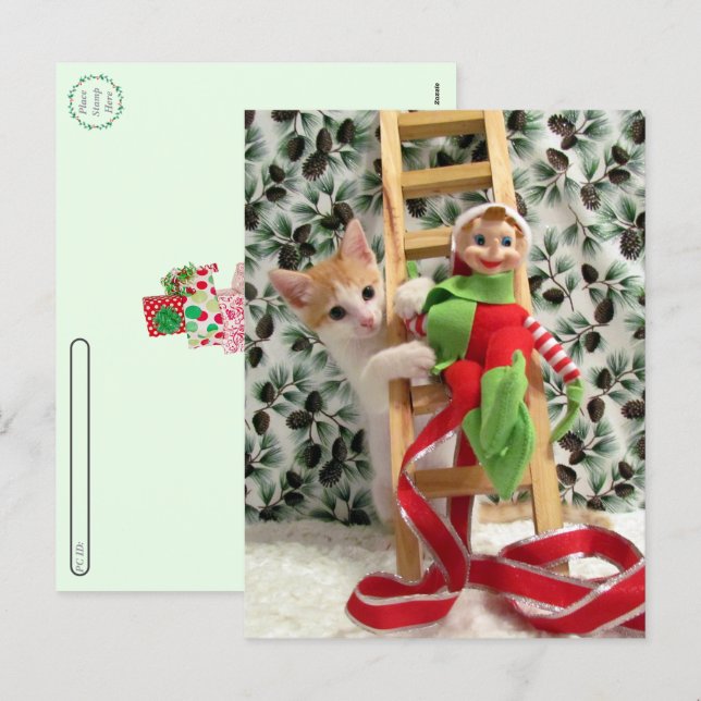 Cartão Postal De Festividades Postcrossing - Annie The Kitten and the Elf  (Frente/Verso)