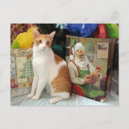 Cartão Postal De Festividades Postcrossing - Kagan o Gato - Natal 