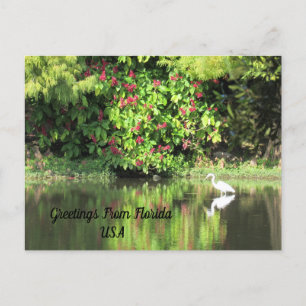 Cartão Postal De Festividades Postcrossing - Saudações de - Paisagem da Garça