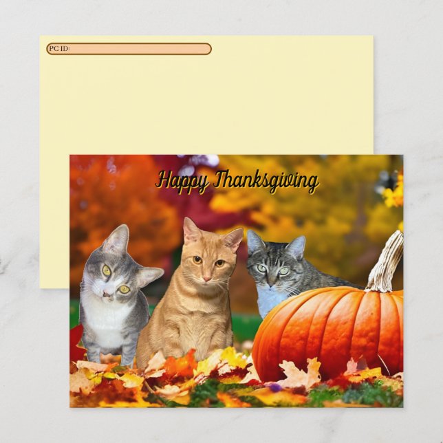 Cartão Postal De Festividades Postcrossing Tito, Taz & Annie's 2025 Thanksgiving (Frente/Verso)