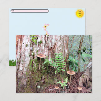 Cartão Postal De Festividades Posto - Cartão-postal para Cogumelos Pequenos