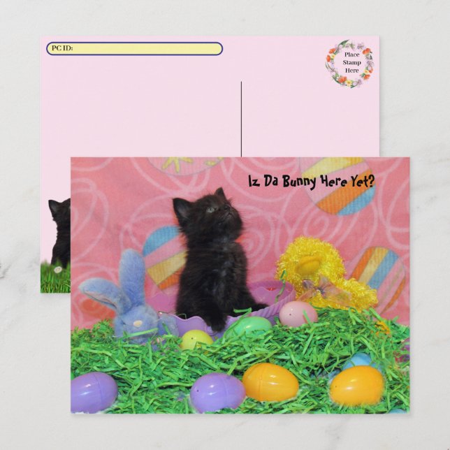 Cartão Postal De Festividades Posto - Iz Da Páscoa Bunny Aqui Ainda? Páscoa (Frente/Verso)