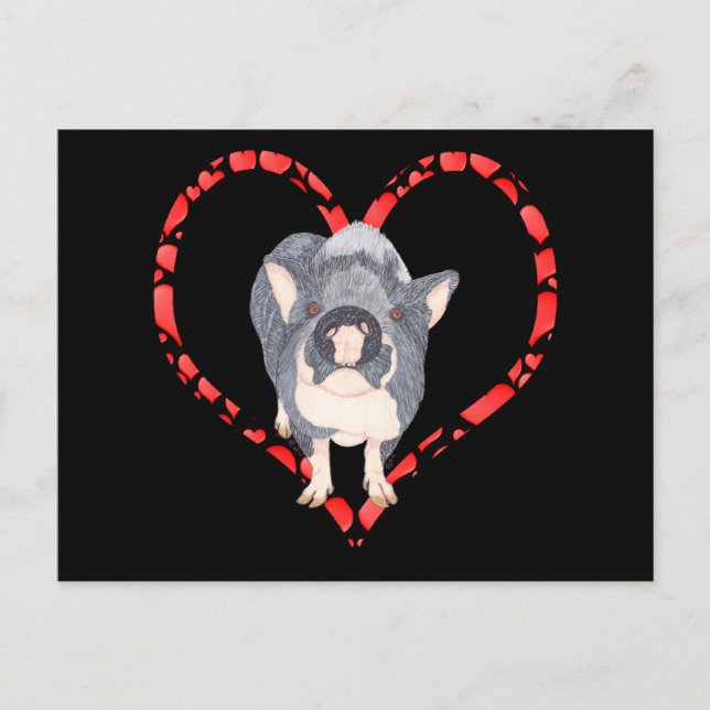 CARTÃO POSTAL DE FESTIVIDADES POT BELLIED PIG HEART (Frente)
