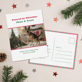 Cartão Postal De Festividades Powered by Christmas Chaos Funny Dog Pet Photo