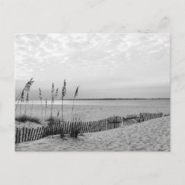 Cartão Postal De Festividades Praia de Pensacola - P&B