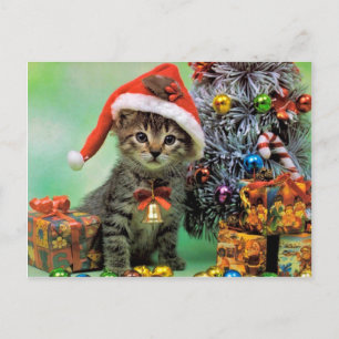 Cartão Postal De Festividades Precious Christmas Cat