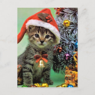 Cartão Postal De Festividades Precious Christmas Cat
