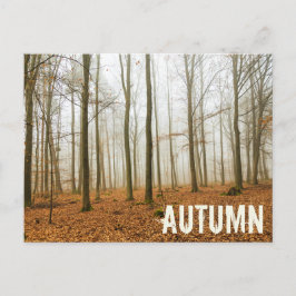 Cartão Postal De Festividades Presente da Floresta Mista e Fog Fall Season