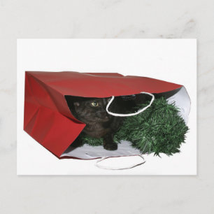 Cartão Postal De Festividades presente de Natal especial